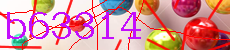 b63314